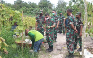 Danrem 091/ASN Brigjen TNI Cahyo Suryo Putra kunjungi demplot ketahanan pangan di wilayah Kodim 0913/PPU Garapan Koptu Gampang. (foto : Penrem)