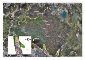 Perambahan dan aktivitas illegal mining di Kawasan Hutan Pendidikan Unmul, Kebun Raya, Samarinda, dikecam LHKP Pimpinan Daerah Muhammadiyah Kota Samarinda. (Insert, Anderyan Noor/foto: Exclusive)