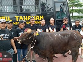 Firmansyah Subhan, Kepala Kejaksaan Negeri Samarinda bersama Sapi Qurban Kejari. (foto: Lukman)